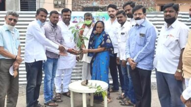 Photo of खा.राहुल गांधी यांच्या वाढदिवसानिमित्त पंढरपूर तालुक्यात युवक कॉंग्रेसच्यावतीने १०१ वृक्षांचे मोफत वाटप