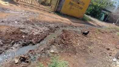 Photo of पुरोगामी संघर्ष परिषदेने शाहुवाडी मध्ये केला नागरी सुविधांचा पंचनामा