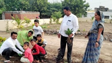 Photo of स्मृतीशेष तुकाराम दादा भोसले यांच्या  स्मृतीदिना निमित्ताने वृक्षारोपण