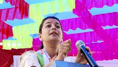 Photo of भाजपमुळे लोकशाहीला दृष्ट लागली – आमदार प्रणिती शिंदे