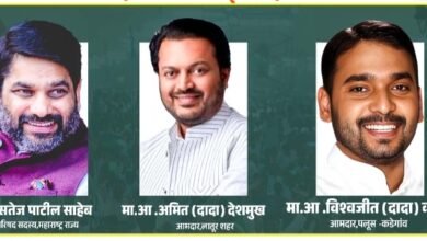 Photo of सोलापुरात प्रणिती शिंदेच्या प्रचारार्थ माजी मंत्र्यांच्या तोफा धडाडणार