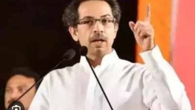 Photo of नकली शिवसेना असायला, ती तुमची डिग्री नाही; उद्धव ठाकरे यांचा पलटवार
