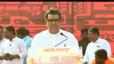 Photo of माझ्या हातात सत्ता देऊन बघा कसा विकास करतो ते बघा — राज ठाकरे