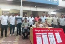 Photo of पंढरपूर पोलिसांनी जबरीने सोनसाखळी चोरी करणाऱ्या चोरा कडून अंदाजे ०६ लाख ०५ हजार किंमतीचा मुद्देमाल हस्तगत केला 